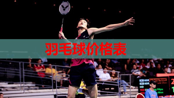 羽毛球价格表 羽毛球价格表