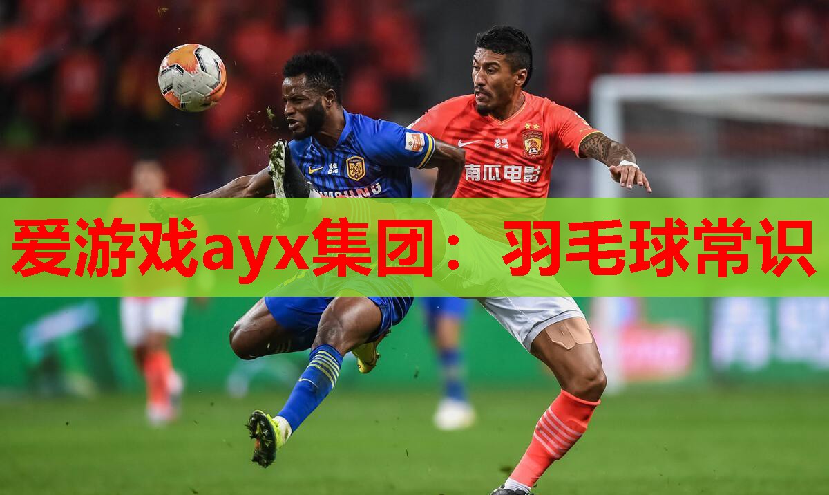 羽毛球常识 羽毛球常识
