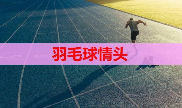 羽毛球情头 羽毛球情头