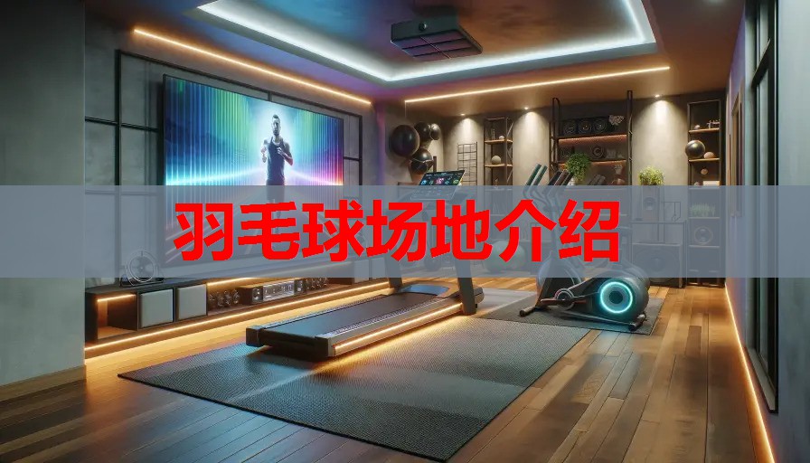羽毛球场地介绍 羽毛球场地介绍
