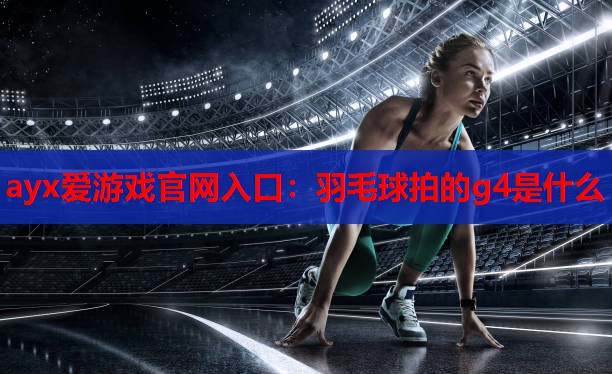 羽毛球拍的g4是什么 羽毛球拍的g4是什么
