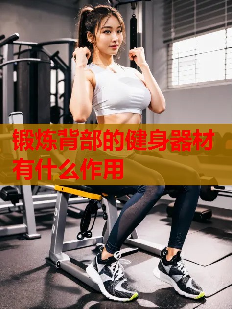 锻炼背部的健身器材有什么作用 锻炼背部的健身器材有什么作用