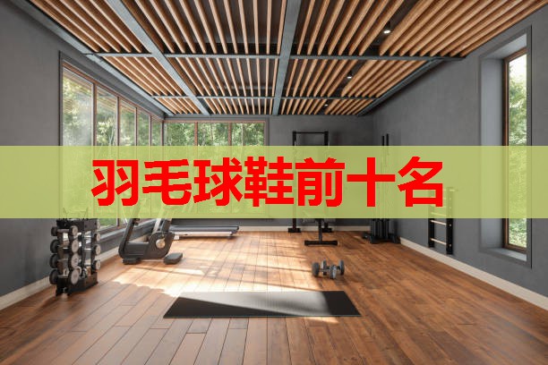 羽毛球鞋前十名 羽毛球鞋前十名