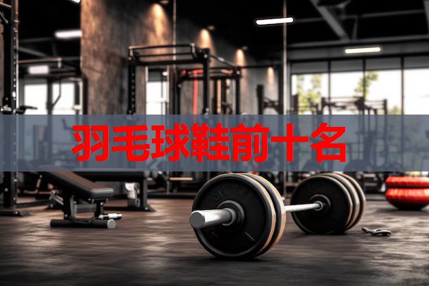 羽毛球鞋前十名 羽毛球鞋前十名