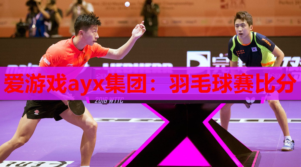 羽毛球赛比分 羽毛球赛比分