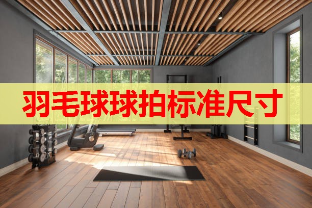 羽毛球球拍标准尺寸 羽毛球球拍标准尺寸