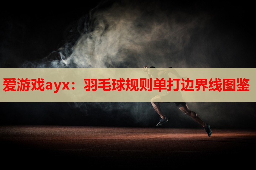 羽毛球规则单打边界线图鉴 羽毛球规则单打边界线图鉴