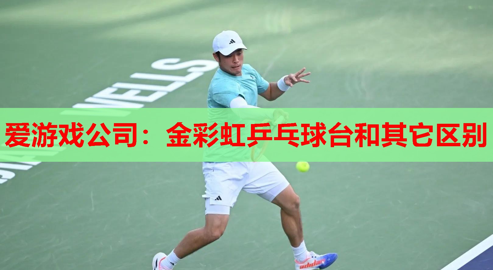 金彩虹乒乓球台和其它区别 金彩虹乒乓球台和其它区别