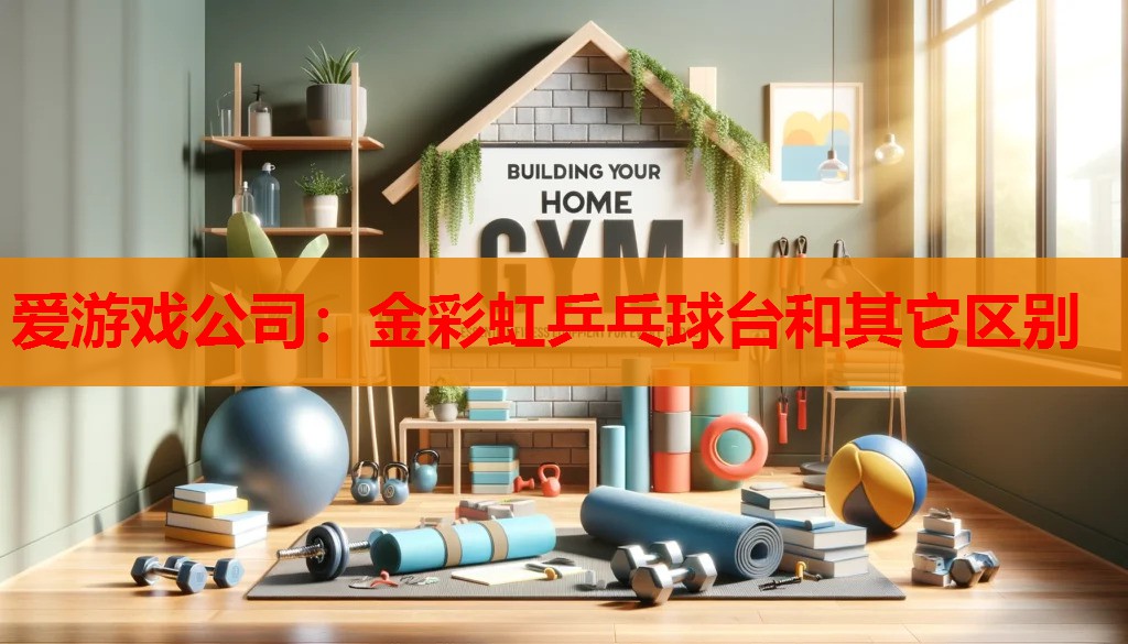 金彩虹乒乓球台和其它区别 金彩虹乒乓球台和其它区别