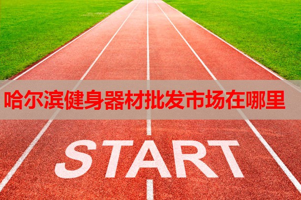 哈尔滨健身器材批发市场在哪里 哈尔滨健身器材批发市场在哪里