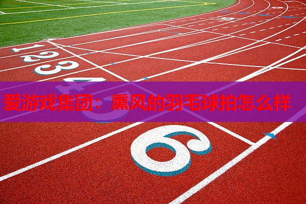 熏风的羽毛球拍怎么样 熏风的羽毛球拍怎么样