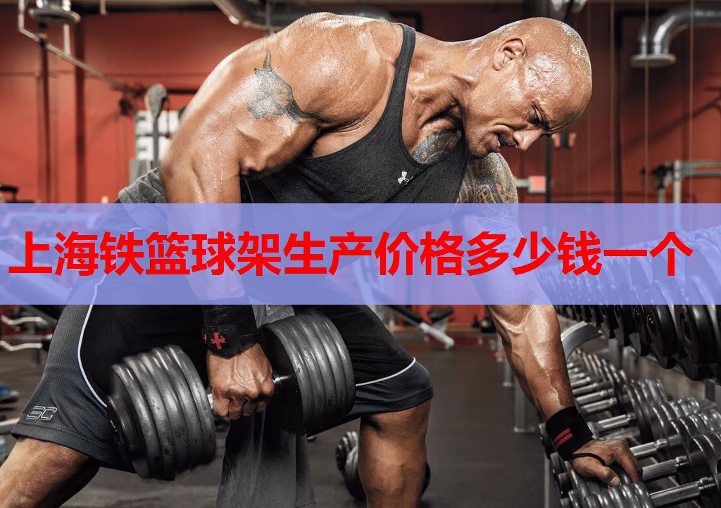 上海铁篮球架生产价格多少钱一个 上海铁篮球架生产价格多少钱一个