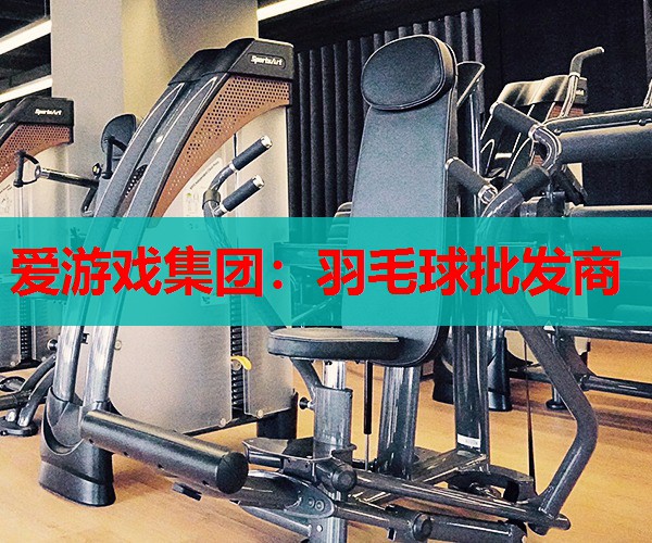 羽毛球批发商 羽毛球批发商