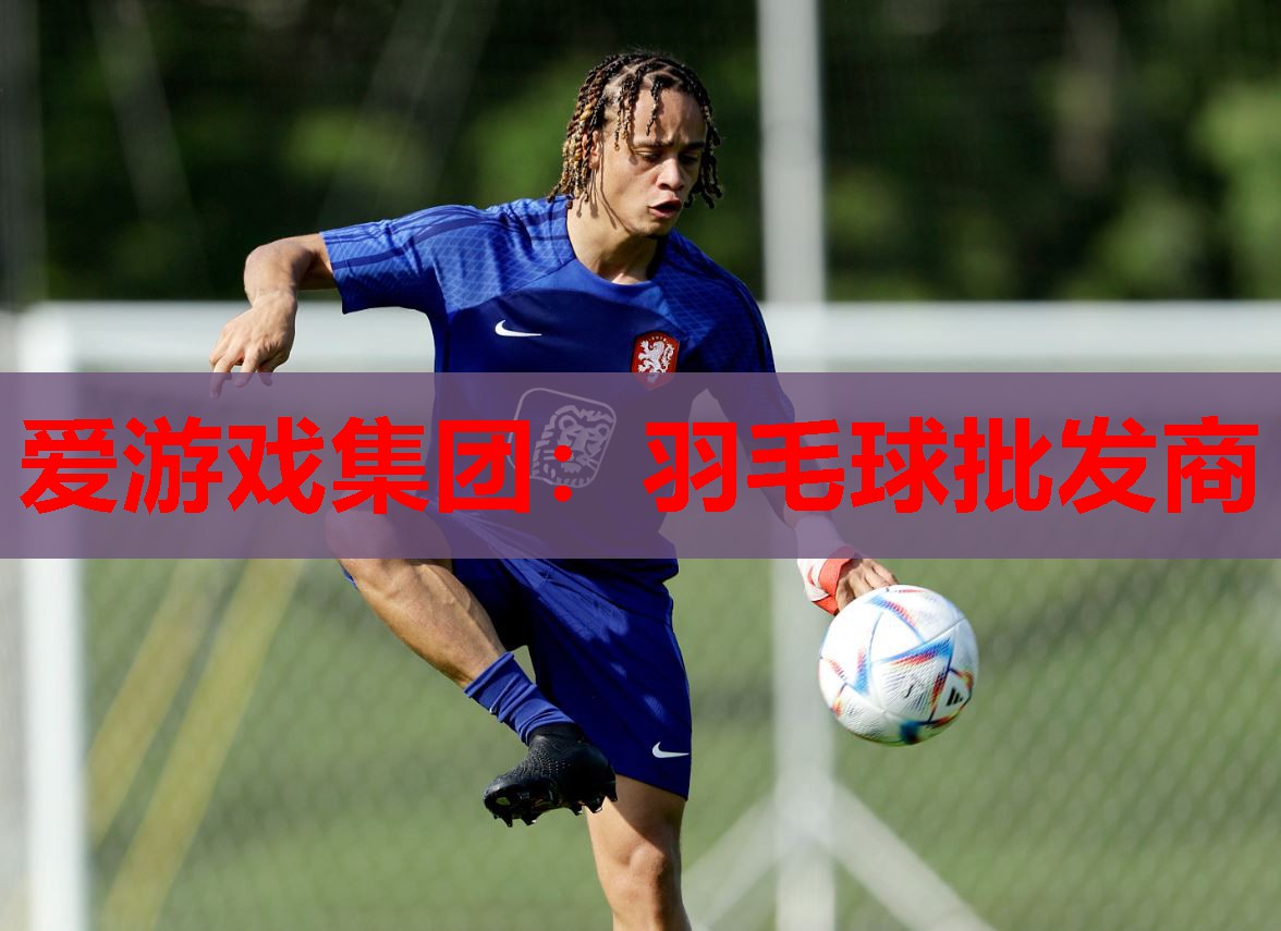 羽毛球批发商 羽毛球批发商