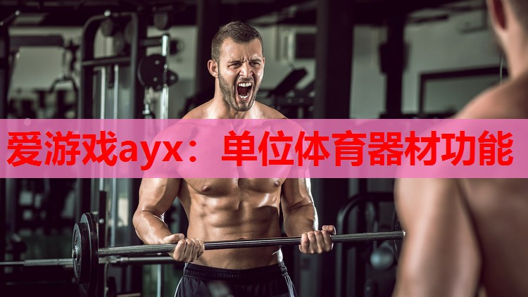 单位体育器材功能 单位体育器材功能