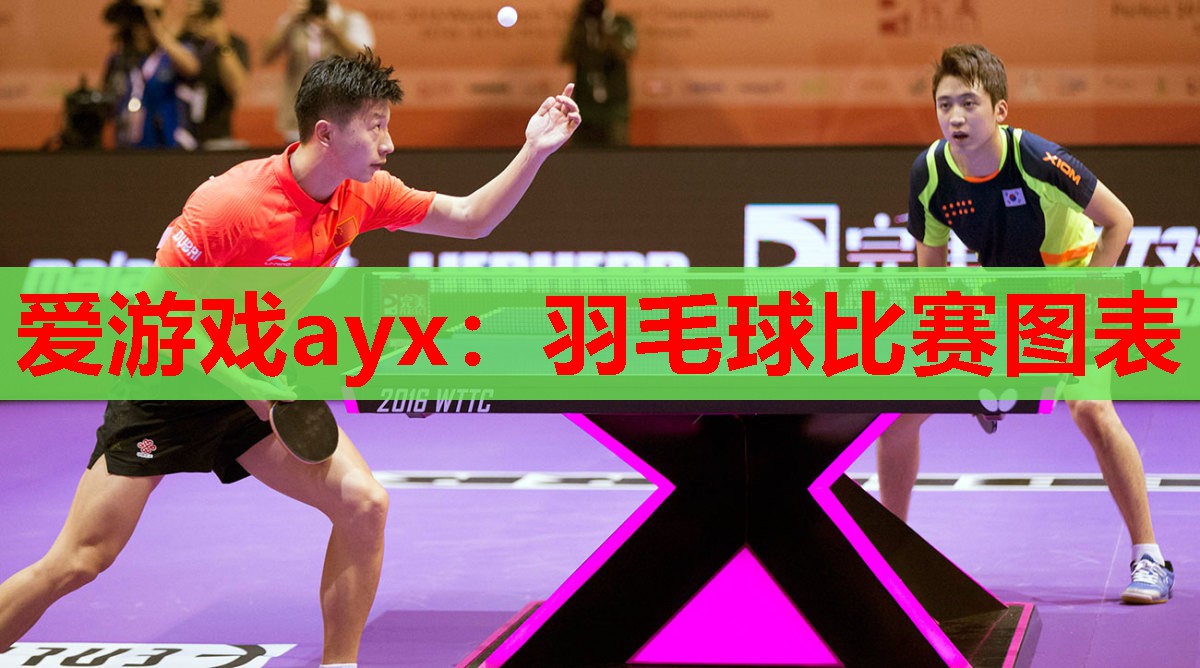 羽毛球比赛图表 羽毛球比赛图表