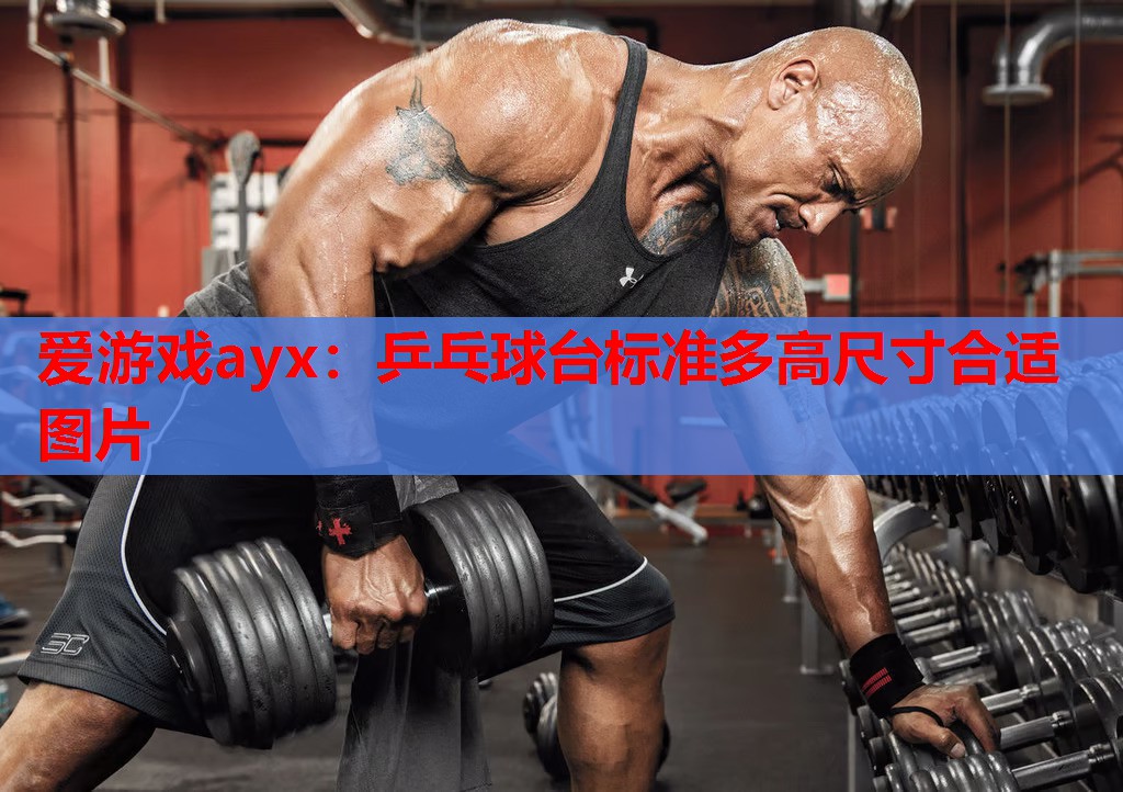 乒乓球台标准多高尺寸合适图片 乒乓球台标准多高尺寸合适图片