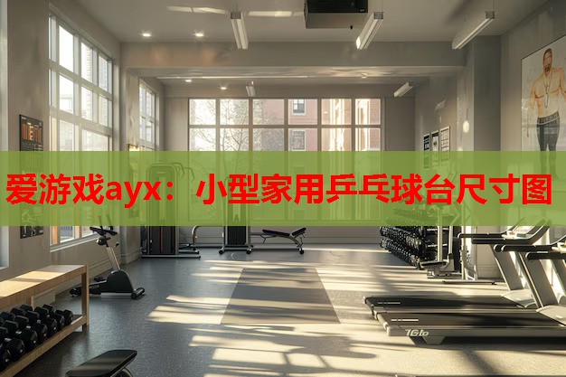 小型家用乒乓球台尺寸图 小型家用乒乓球台尺寸图