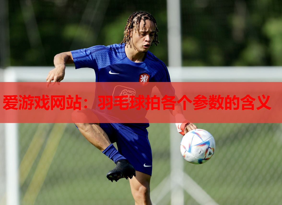 羽毛球拍各个参数的含义 羽毛球拍各个参数的含义