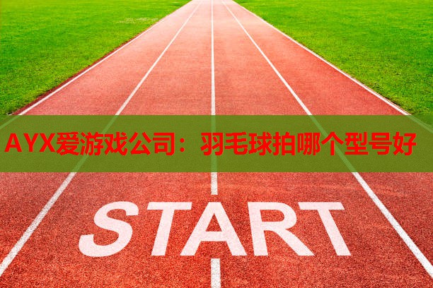 羽毛球拍哪个型号好 羽毛球拍哪个型号好