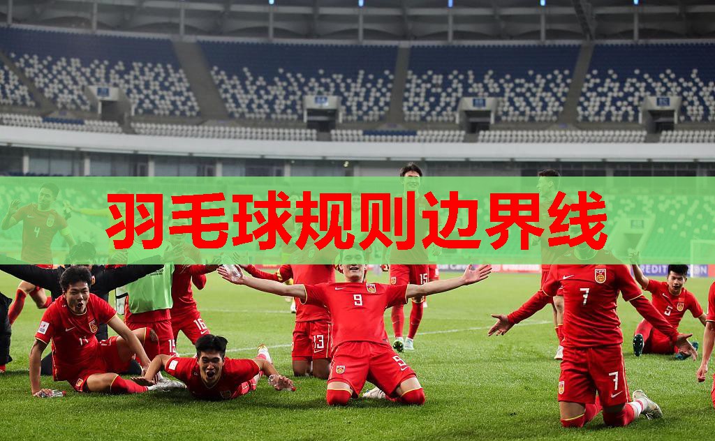 羽毛球规则边界线 羽毛球规则边界线