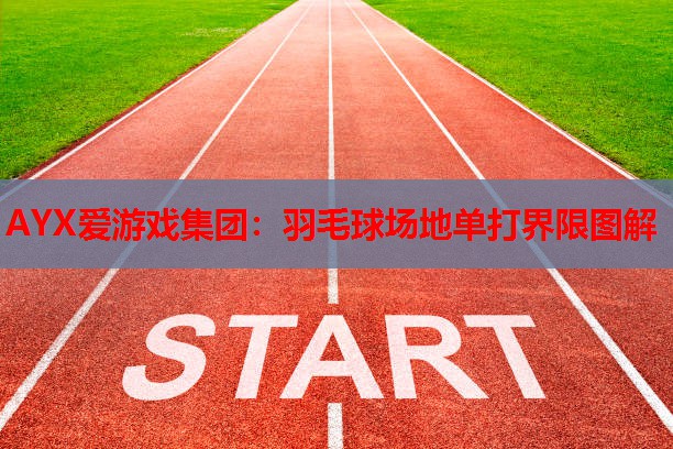 羽毛球场地单打界限图解 羽毛球场地单打界限图解