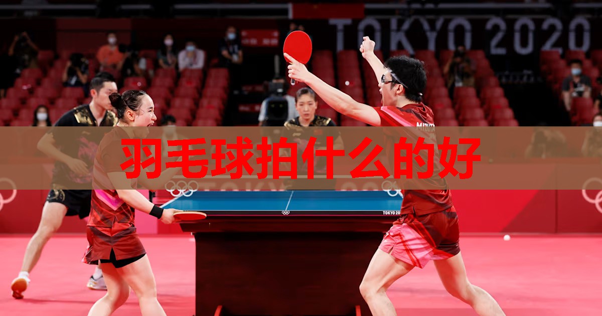 羽毛球拍什么的好 羽毛球拍什么的好
