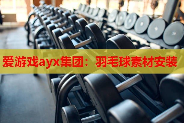 羽毛球素材安装 羽毛球素材安装