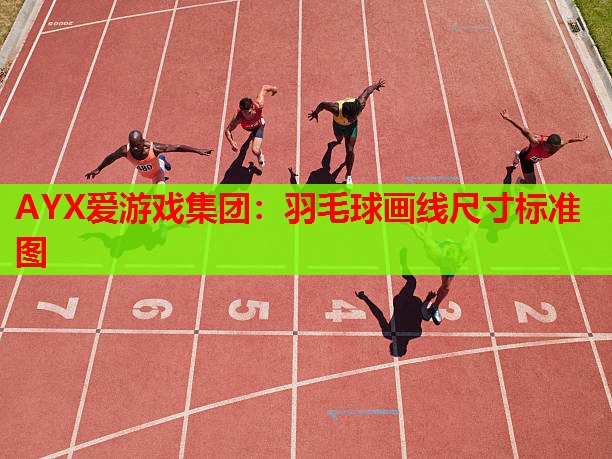 羽毛球画线尺寸标准图 羽毛球画线尺寸标准图