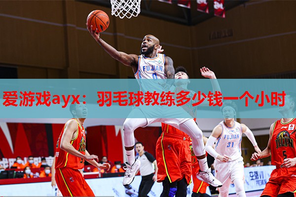 羽毛球教练多少钱一个小时 羽毛球教练多少钱一个小时