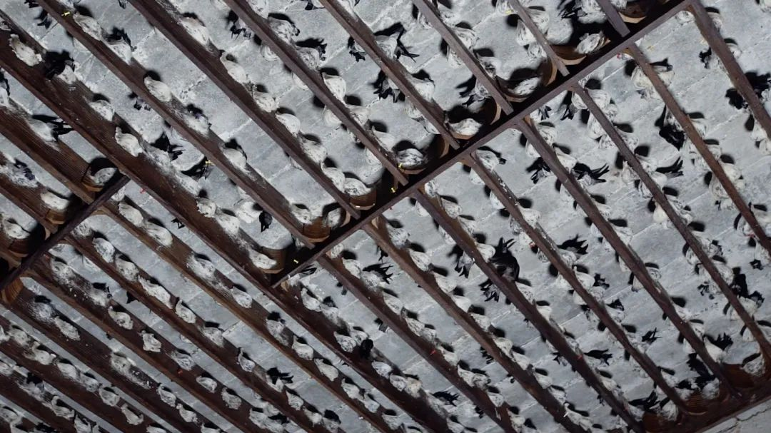 非凡国际(中国区)-官方网站