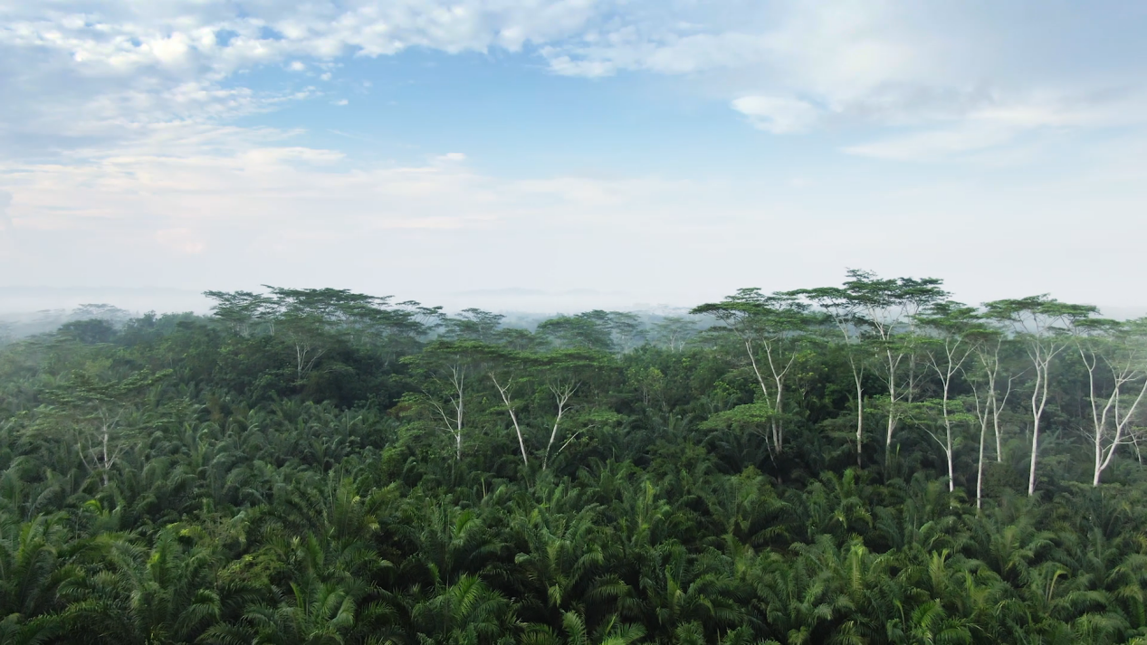 非凡国际(中国区)-官方网站