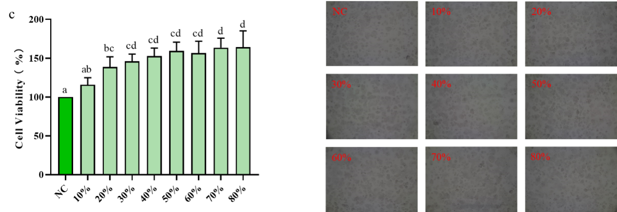 非凡国际(中国区)-官方网站