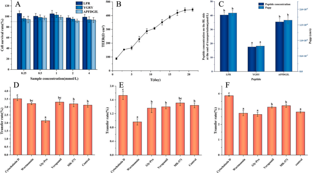 非凡国际(中国区)-官方网站