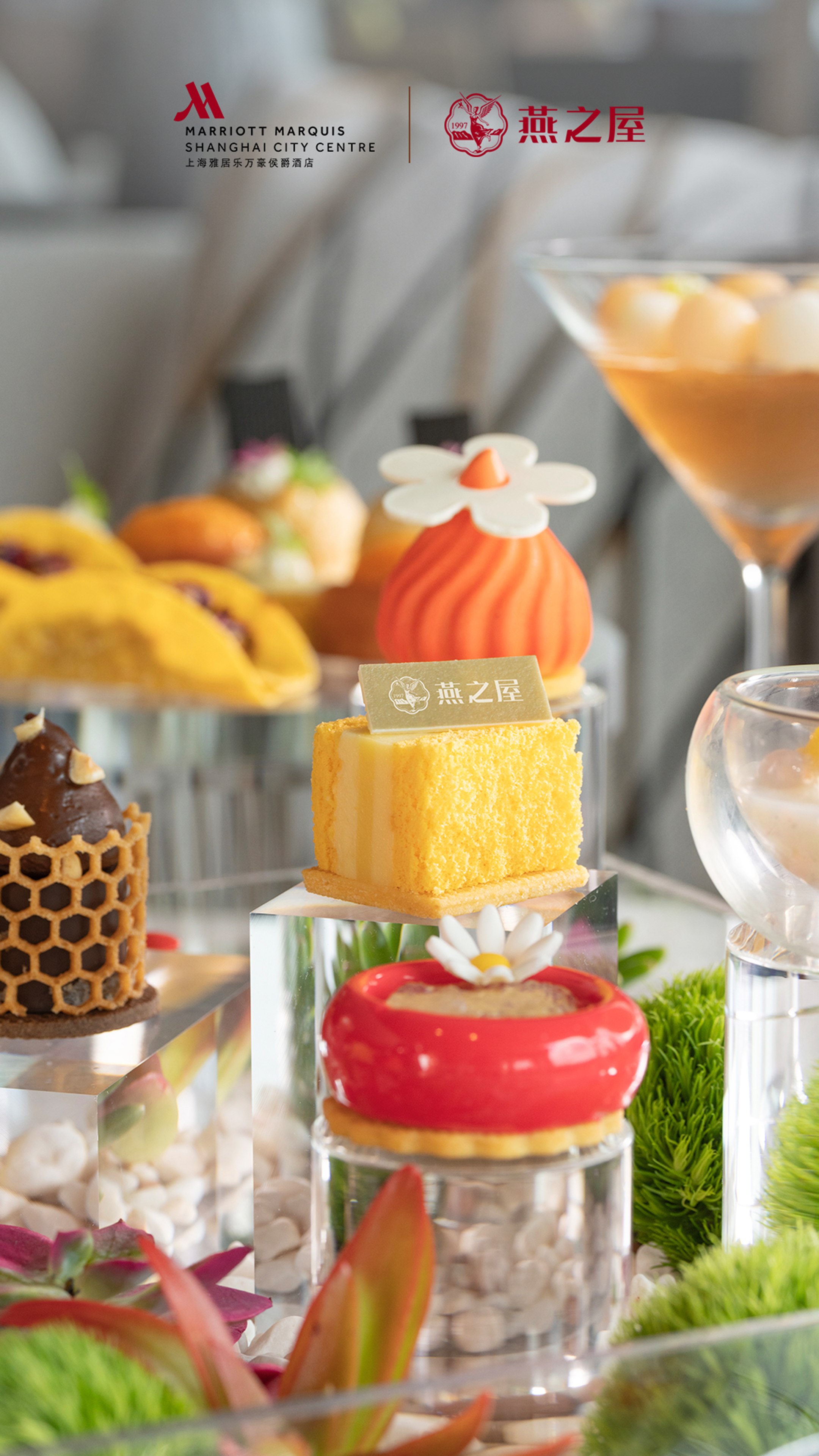 非凡国际(中国区)-官方网站